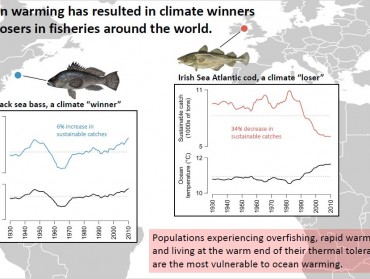 两极欢喜热带愁：气候变暖下，少数“鱼生赢家”是渔业的希望