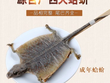 金貅广西蛤蚧大尾巴蛤蚧干一对
