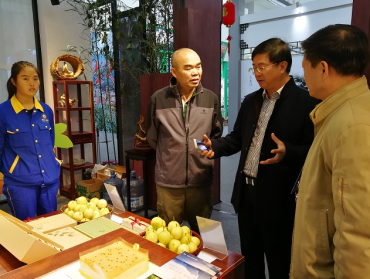 桂林市委常委、统战部部长王建毅到展馆巡馆