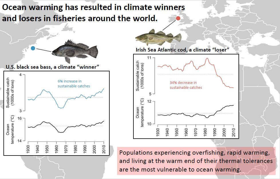 两极欢喜热带愁：气候变暖下，少数“鱼生赢家”是渔业的希望