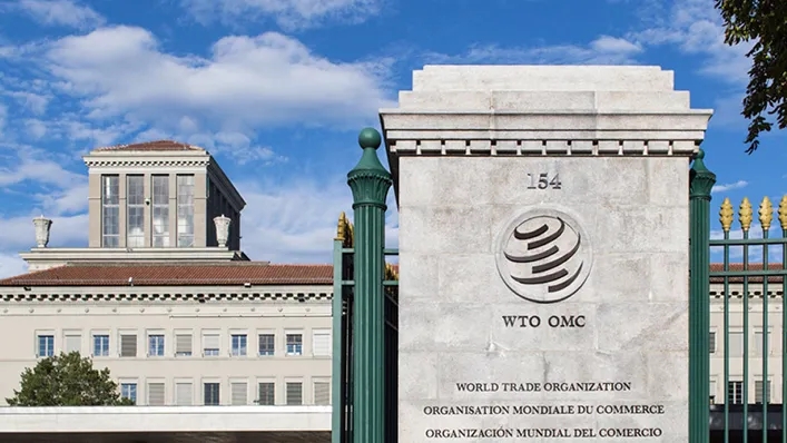 谁将成为WTO新任总干事？8人参与遴选，非洲候选人呼声高