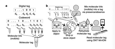 生物技术新突破：“豪猪”分子标记系统可追踪微小物体